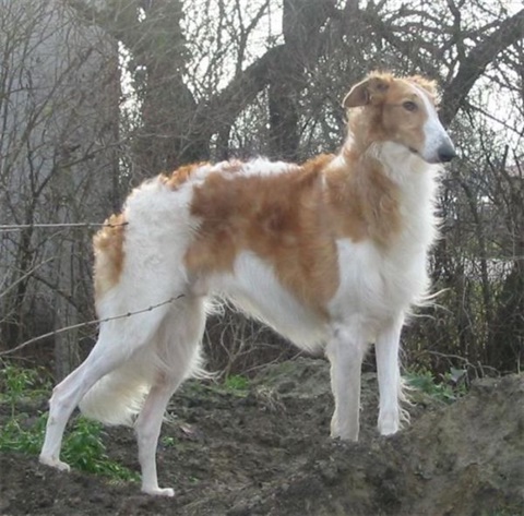 Snímek 032.jpg