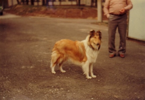 Obrázok5.jpg