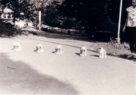 Obrázok10.jpg
