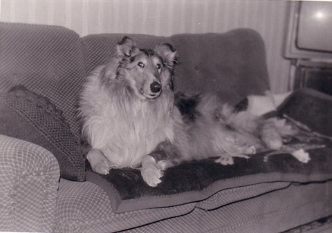 Obrázok15.jpg
