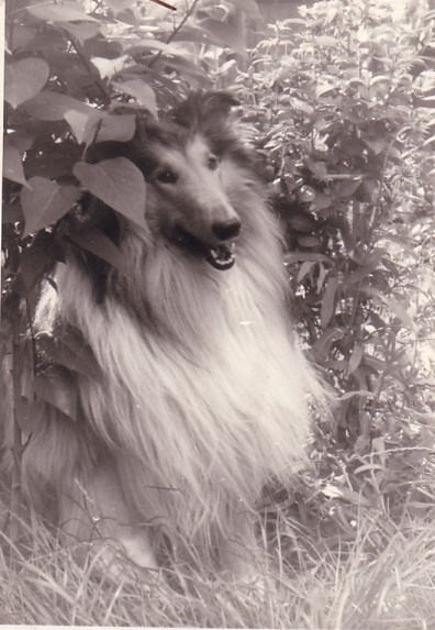 Obrázok16.jpg