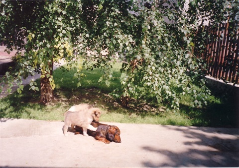 Obrázok37.jpg