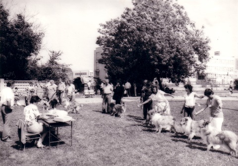 Obrázok27.jpg