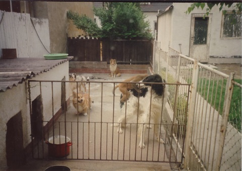 Obrázok38.jpg