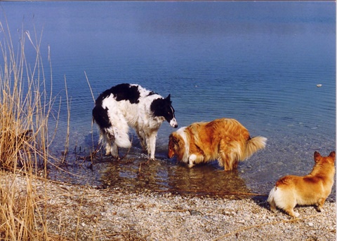 Obrázok45.jpg
