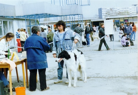 Obrázok55.jpg