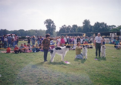 Obrázok57.jpg
