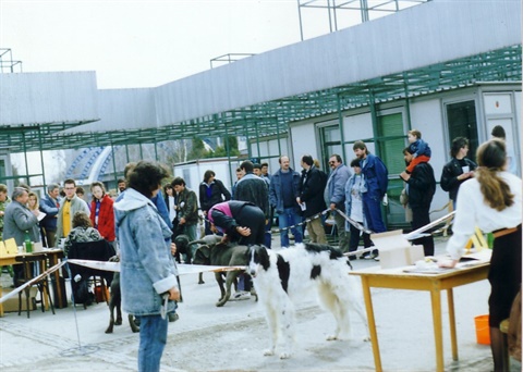 Obrázok56.jpg