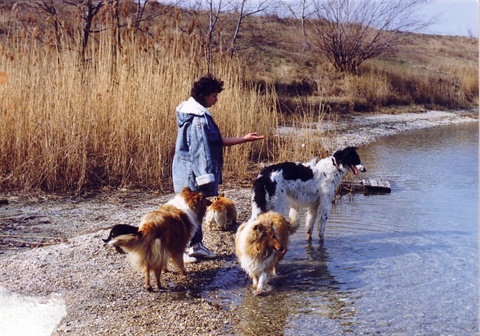 Obrázok53.jpg