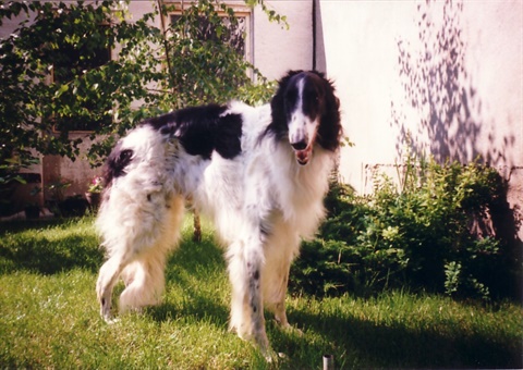 Obrázok67.jpg