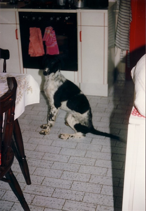 Obrázok62.jpg
