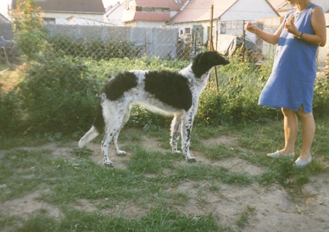Obrázok64.jpg
