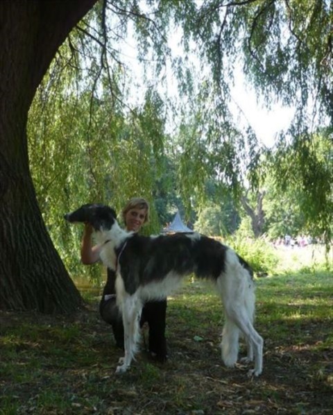 Národná výstava Košice 12. 7. 2009 117.jpg