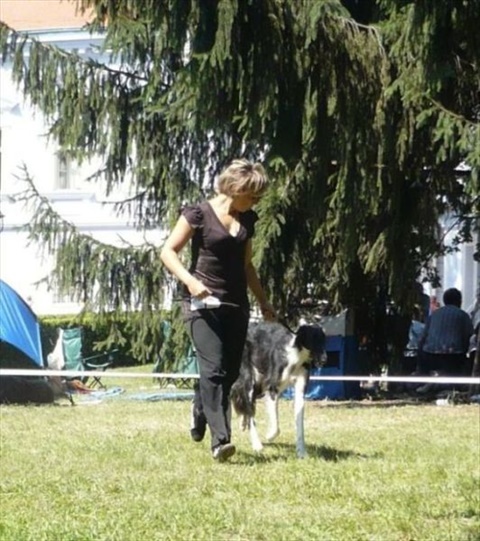 euro sighthound show 8. 8. 2009 030.jpg