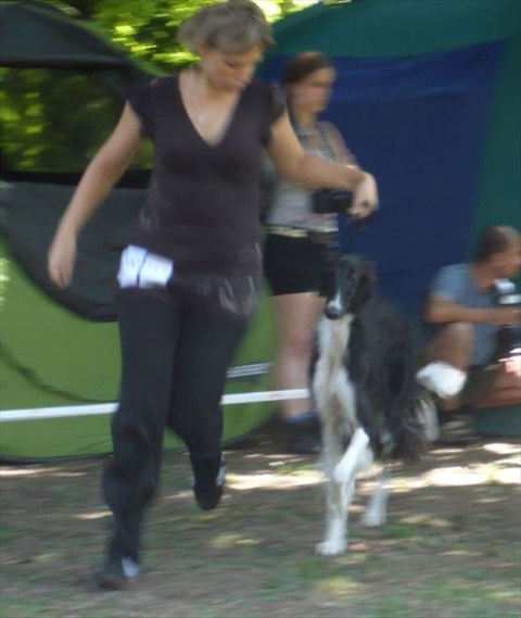 euro sighthound show 8. 8. 2009 056.jpg
