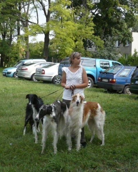 euro sighthound show 8. 8. 2009 003.jpg