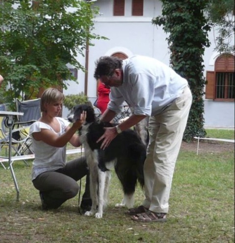 klubová výstava chrtov Mojmírovce 9. 8. 2009 165.jpg