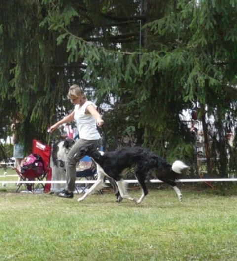 klubová výstava chrtov Mojmírovce 9. 8. 2009 033.jpg