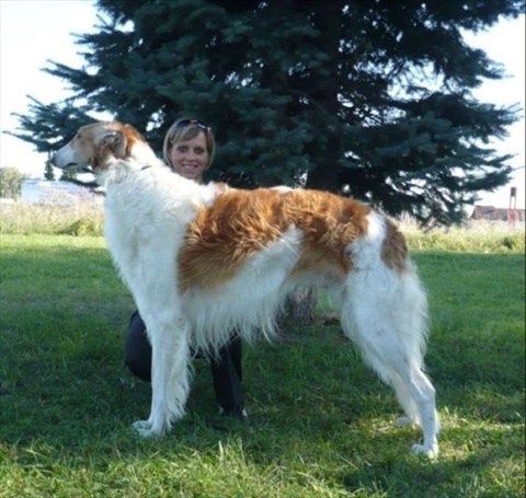 Víťaz Slovenska Prešov 27. 9. 2009 120.jpg