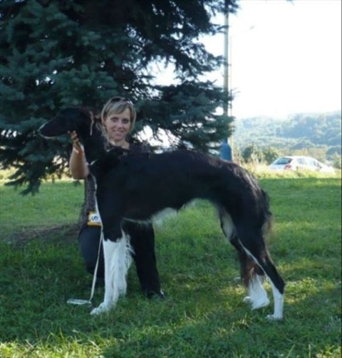 Víťaz Slovenska Prešov 27. 9. 2009 115.jpg