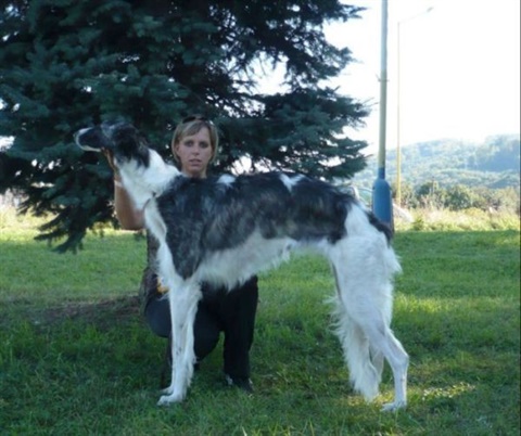Víťaz Slovenska Prešov 27. 9. 2009 106.jpg