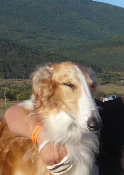 Víťaz Slovenska Prešov 27. 9. 2009 144.jpg
