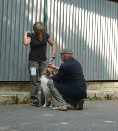 špeciálna výstava kólií a šeltií Horný Kalník 19. 9. 2009 008.jpg