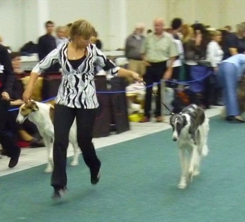 Svetovavystavaa9.10.2009026.jpg