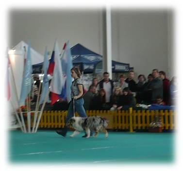 Obrázok31.jpg