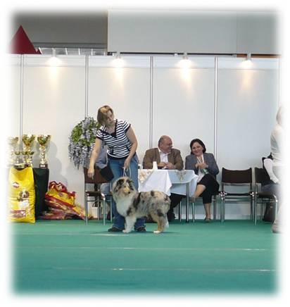 Obrázok33.jpg