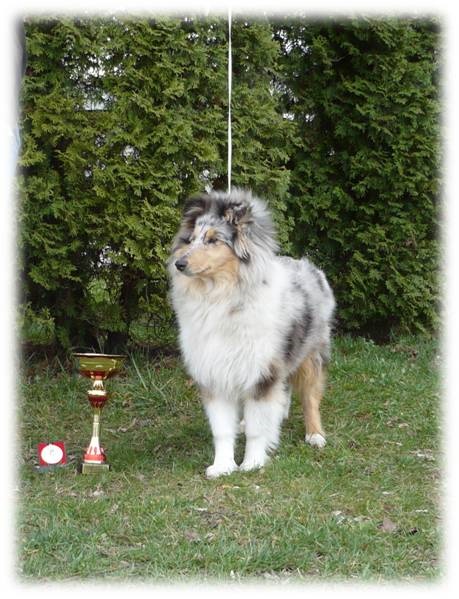 Obrázok48.jpg