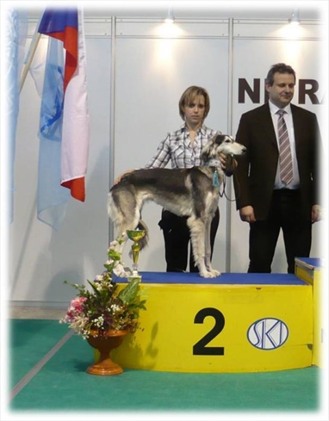 Obrázok19.jpg