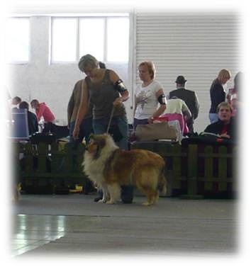 Obrázok4.jpg