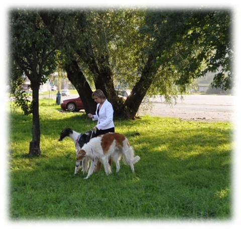 Obrázok28.jpg