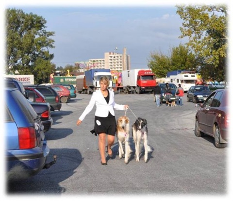 Obrázok34.jpg