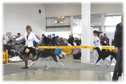 Obrázok9.jpg