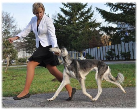 Obrázok51.jpg