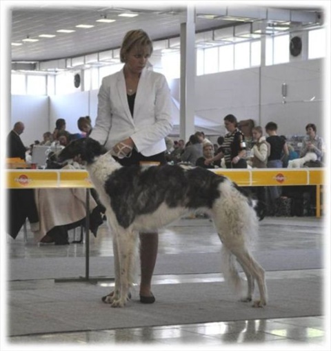 Obrázok16.jpg