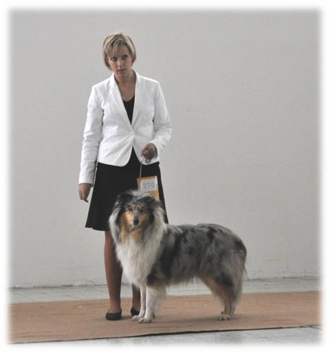 Obrázok32.jpg
