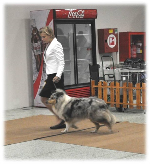 Obrázok13.jpg