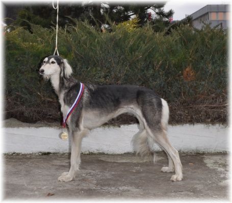 mvp trencin 23.01.2011 175.jpg