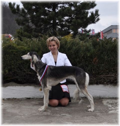mvp trencin 23.01.2011 198.jpg