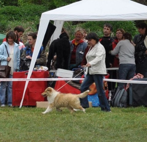 narodna vystava Banska Bystrica 01.05.2011 007.jpg