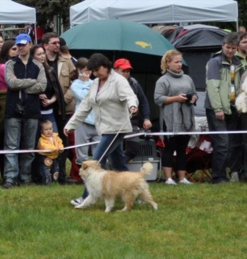 narodna vystava Banska Bystrica 01.05.2011 015.jpg