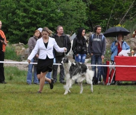 narodna vystava Banska Bystrica 01.05.2011 063.jpg