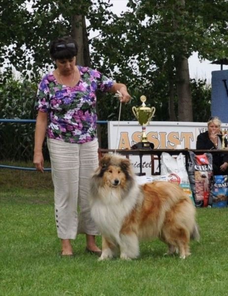 oblastna vystava Povoda 30.07.2011 187.jpg