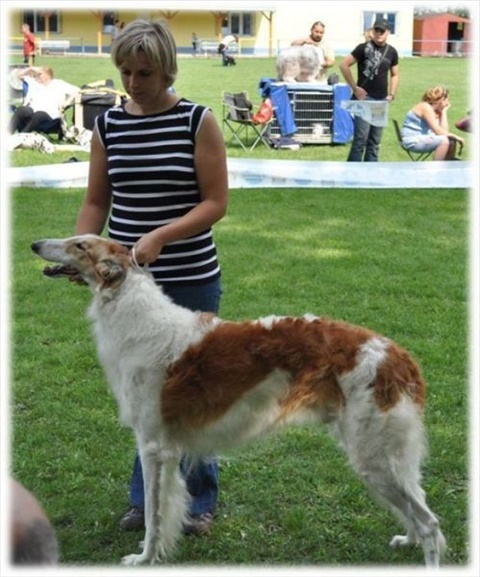 Obrázok8.jpg