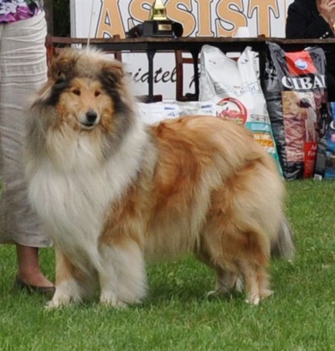 oblastna vystava Povoda 30.07.2011 1871.jpg