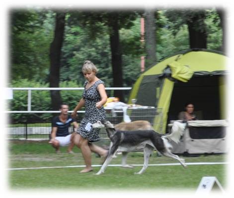 Obrázok16.jpg