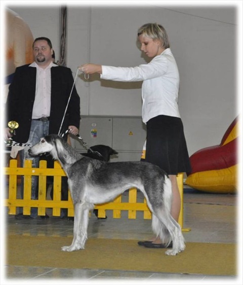 Obrázok13.jpg